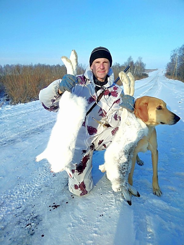 Снова в строю