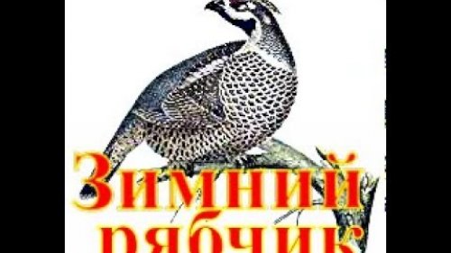 Зимний рябчик