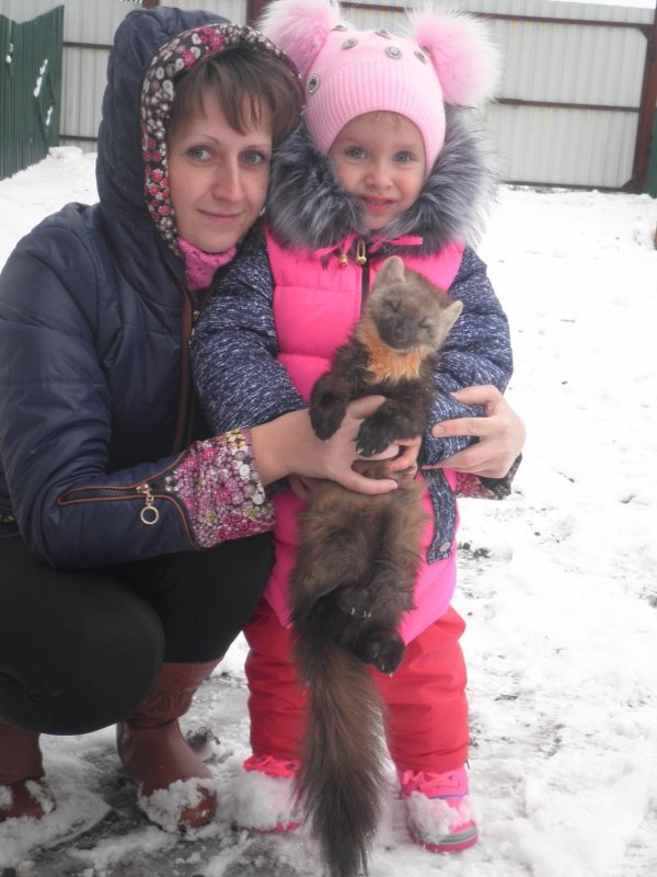 Мои любимые