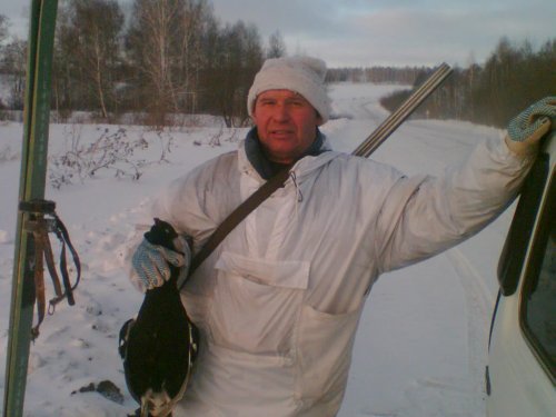 Трудовой косач.