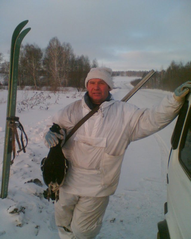 Трудовой косач.
