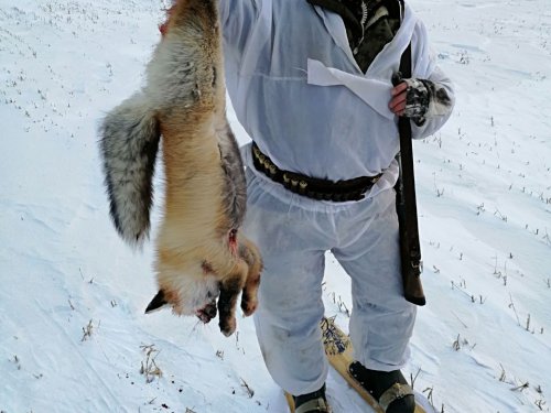 С подхода