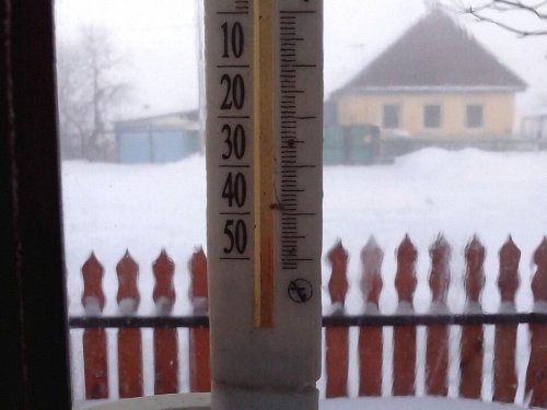 10 часов 20 января