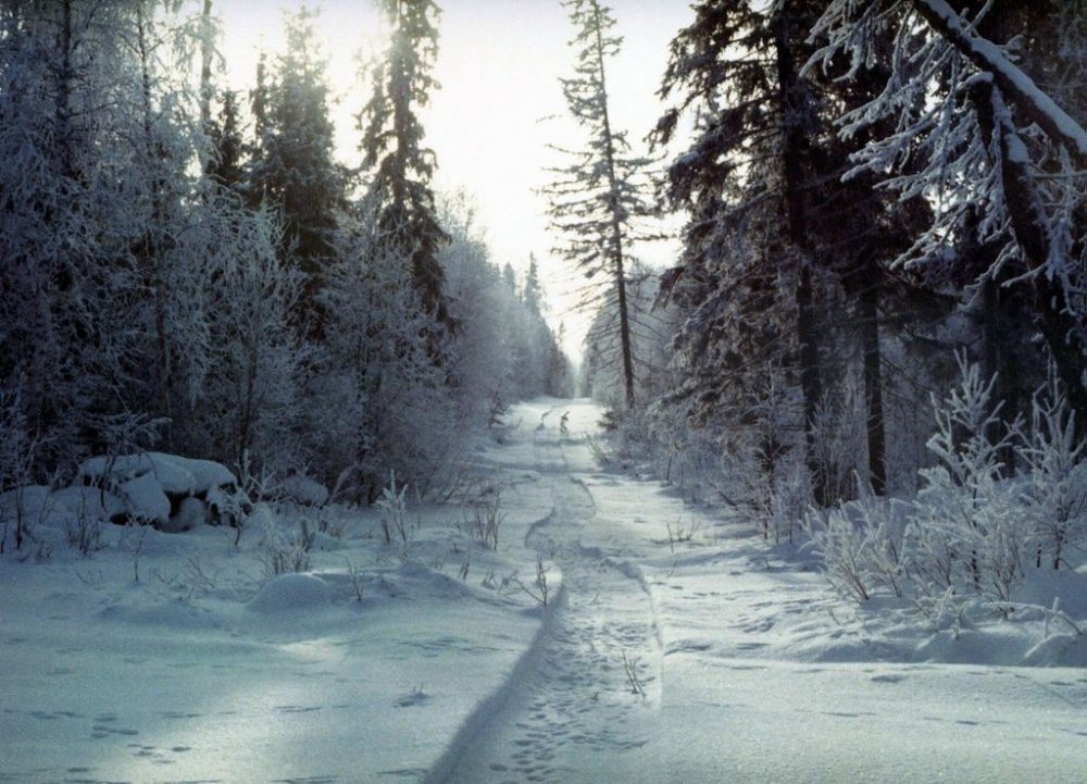 следы