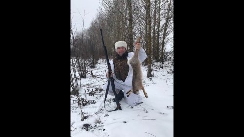 Охота на зайца 2018