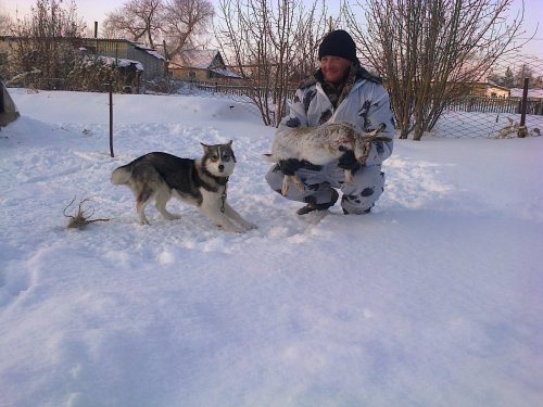 ЗНАКОМСТВО ЖУЛЬКИ  С ЗАЙЦЕМ