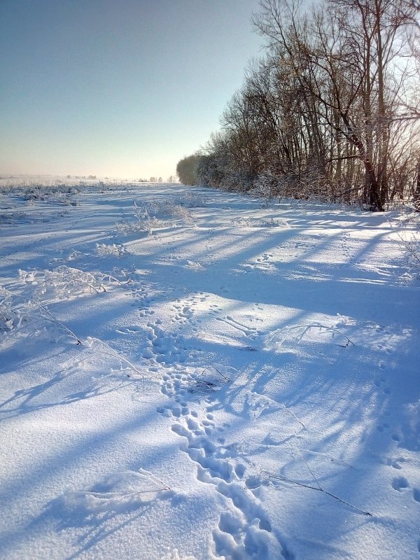Многоследица