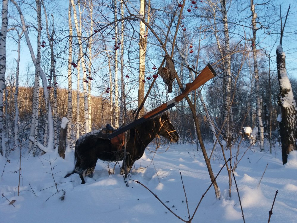 Рябчик