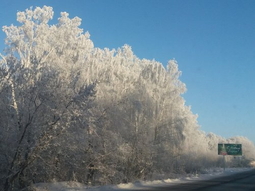 В серебре