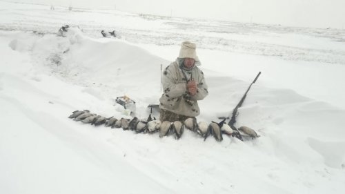 ЗАКРЫТИЕ