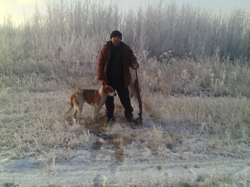 с охоты