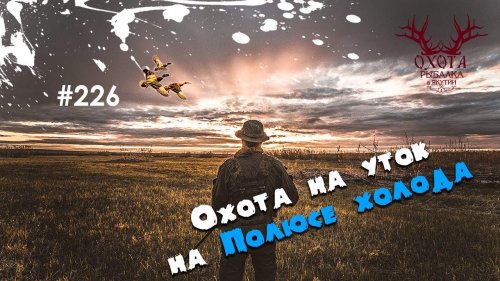 Охота на уток на Полюсе холода