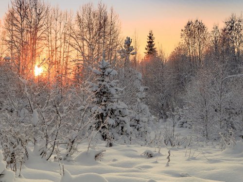 полдень