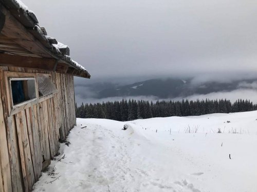 хорошо