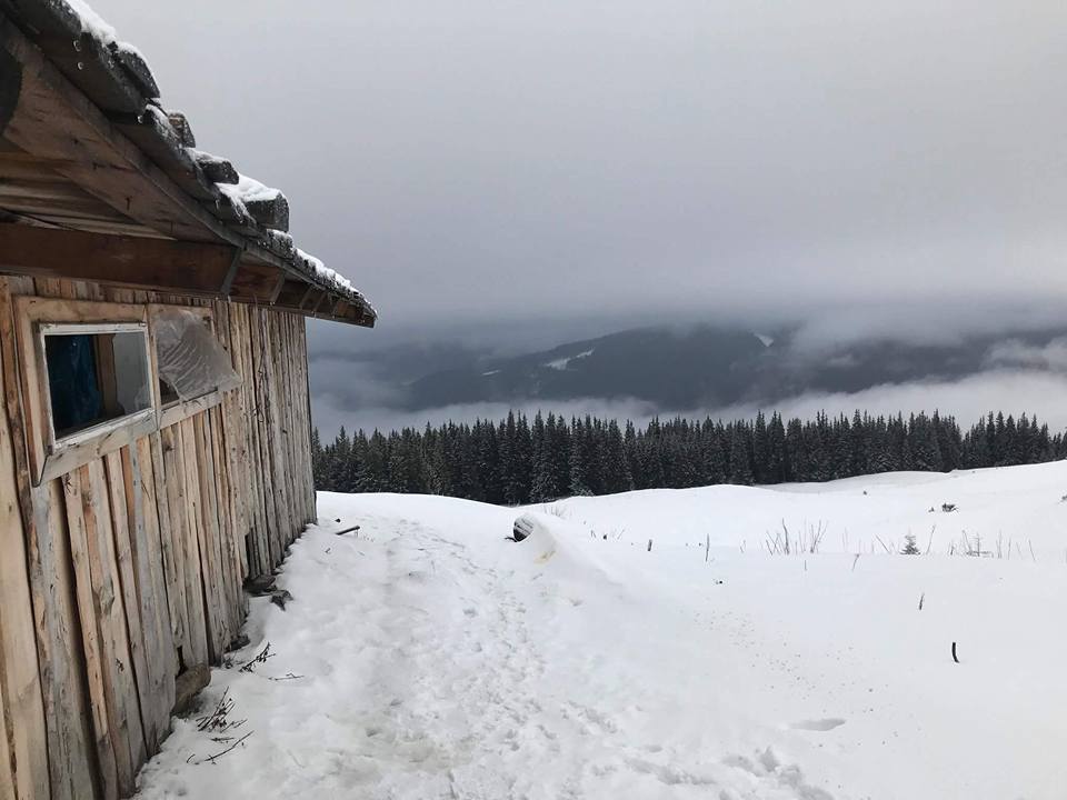 хорошо