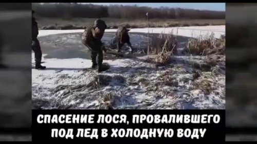 Подборачка