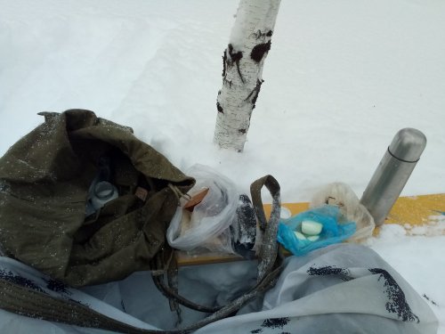 Обед в зимнем лесу.