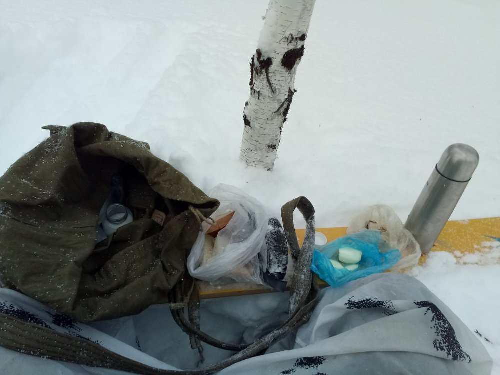 Обед в зимнем лесу.