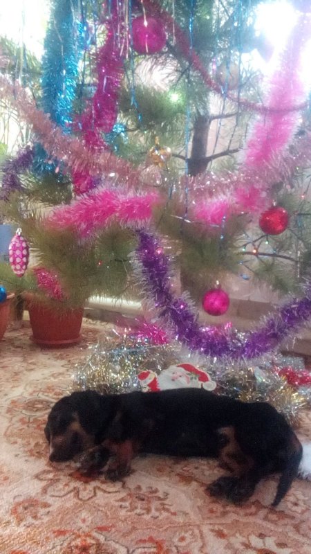 ВСЕХ С НОВЫМ ГОДОМ ! ! !