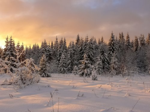 полдень