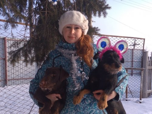 С Новым годом!!!