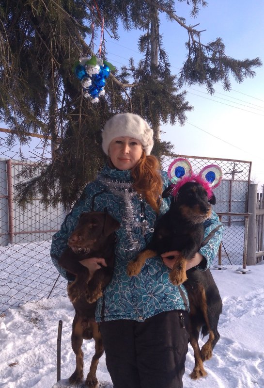 С Новым годом!!!