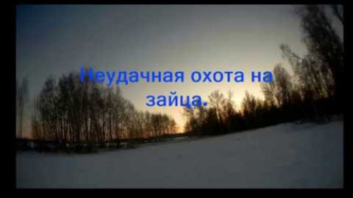 Неудачная охота на зайца.