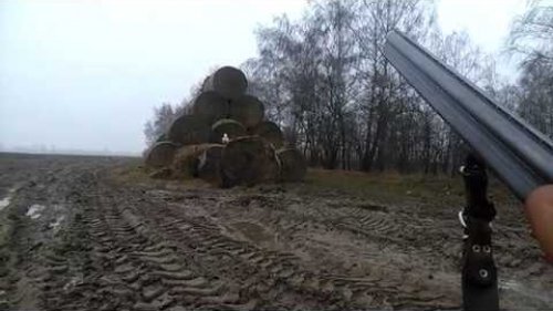 Охота на стогах 2018г