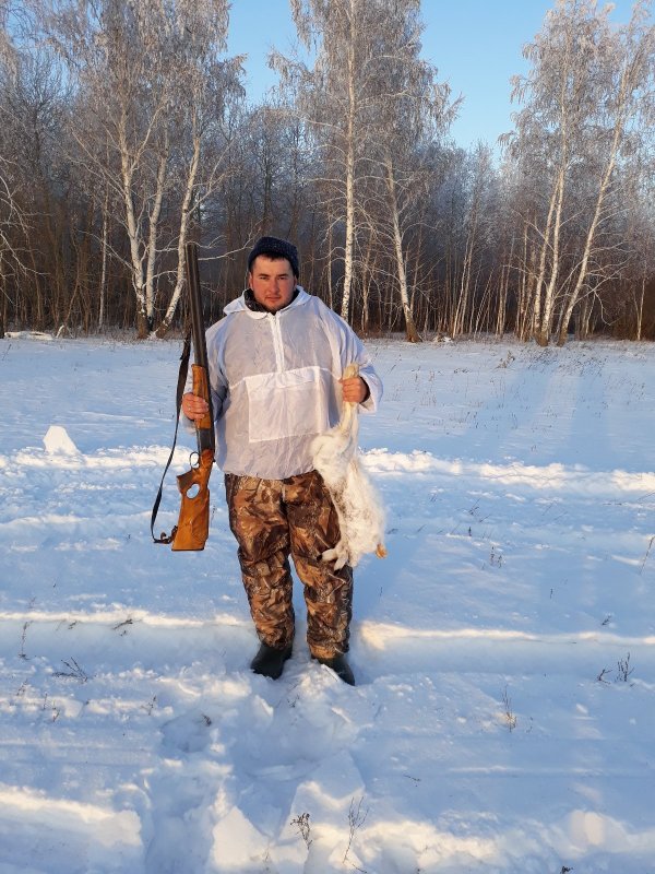 Трудовой зайка