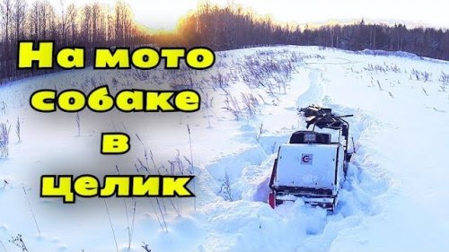 Вот это я попал! Жесть! Как не едет мотособака в целик и что с этим делать.