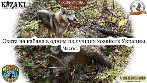 Охота на кабана и косулю в одном из лучших хозяйств Украины (с участием Астахова и Kiev Hunters) Ч.1