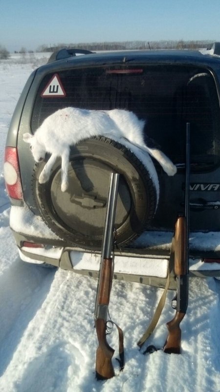 "Безбилетник"
