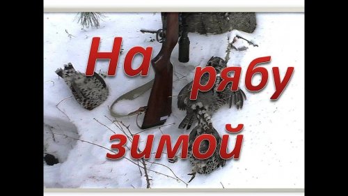 Охота на рябчика зимой.22 lr и PCP.
