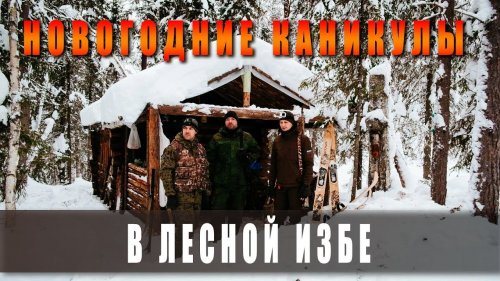 НА 6 ДНЕЙ В ЛЕСНУЮ ИЗБУ В НОВОГОДНИЕ КАНИКУЛЫ. (лесная изба, зимой в лес,, жизнь в тайге)