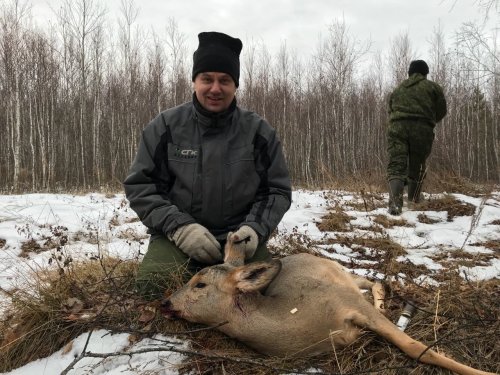 Курганская козочка