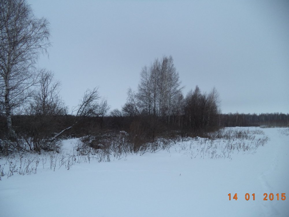 зима