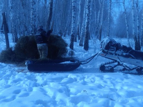 Развезли гостинцы к празднику.