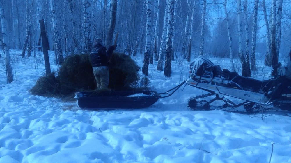 Развезли гостинцы к празднику.