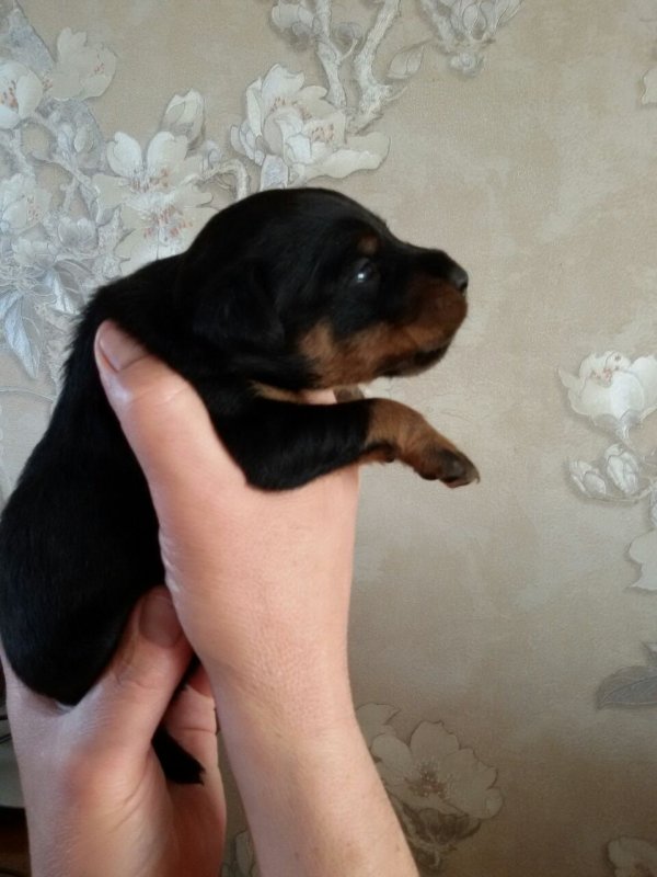 Растём