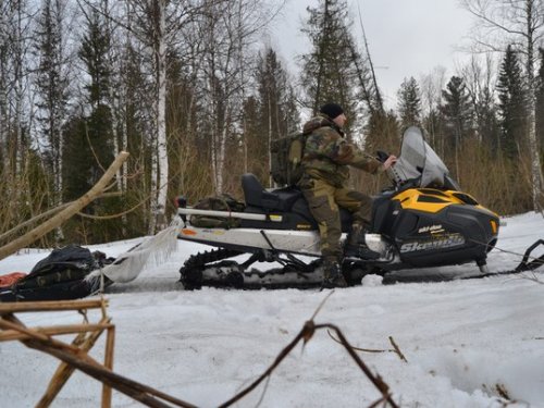 За лосем