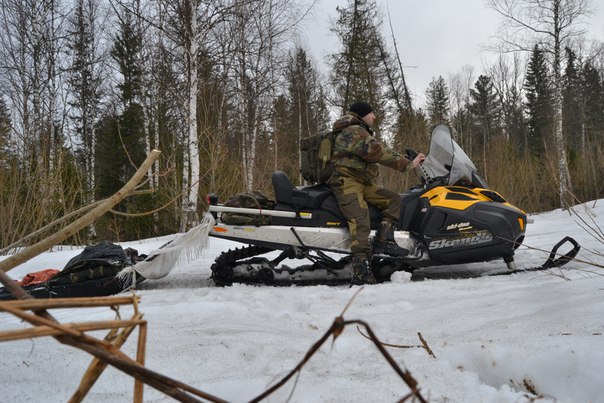 За лосем