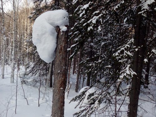 Забрался