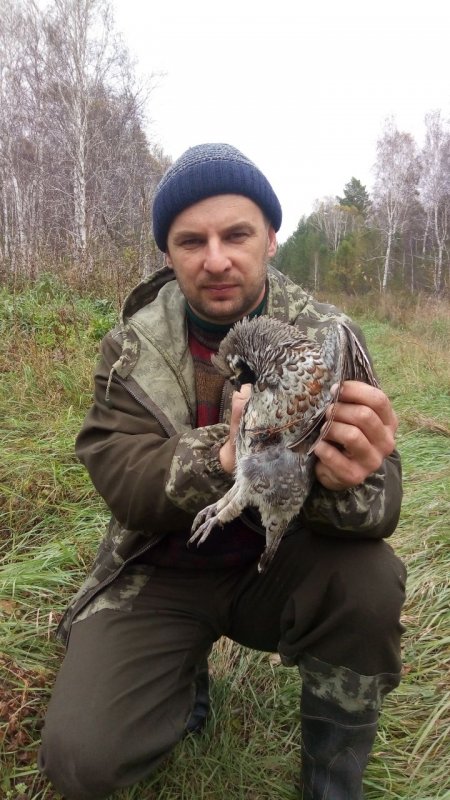 на рябчика