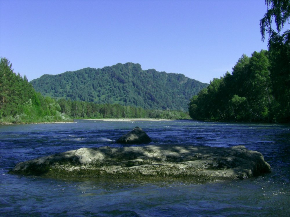 Наш ,батюшка, Чарыш