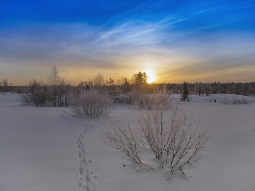 по следу