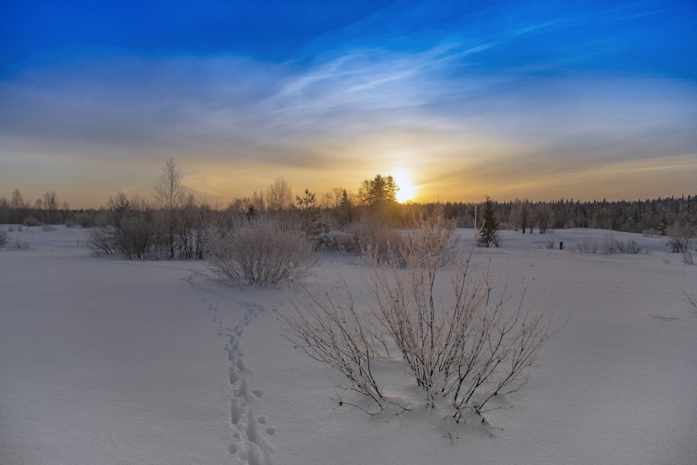 по следу
