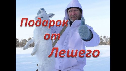 Охота на зайца 23 февраля