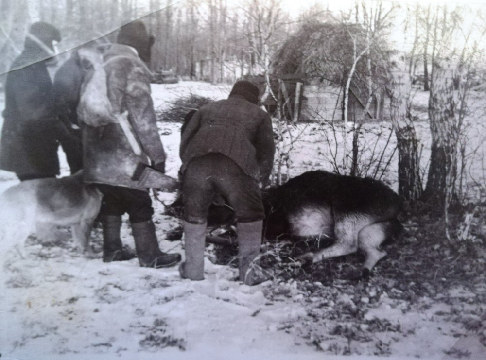 Всё-таки взяли зверя!
