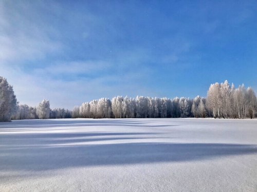 Зимняя сказка