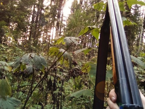 у Бонда не было таких рассветов. Так что если и отдыхает, то именно так.